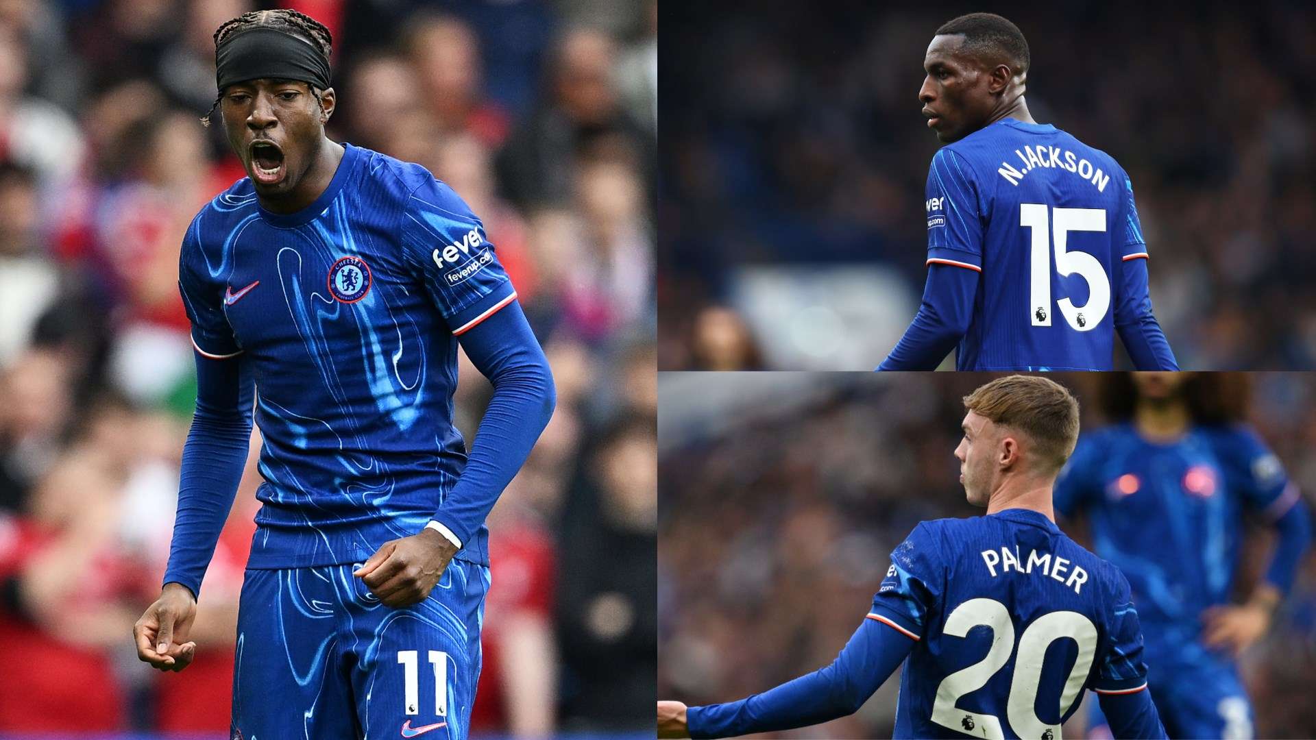 中的顽强精 中的顽强精